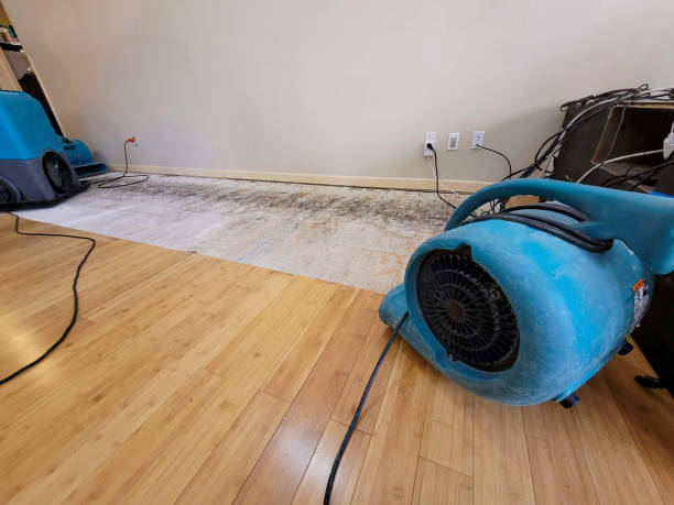 Professional Emergency Water Damage technician working in Lake Benton, MN